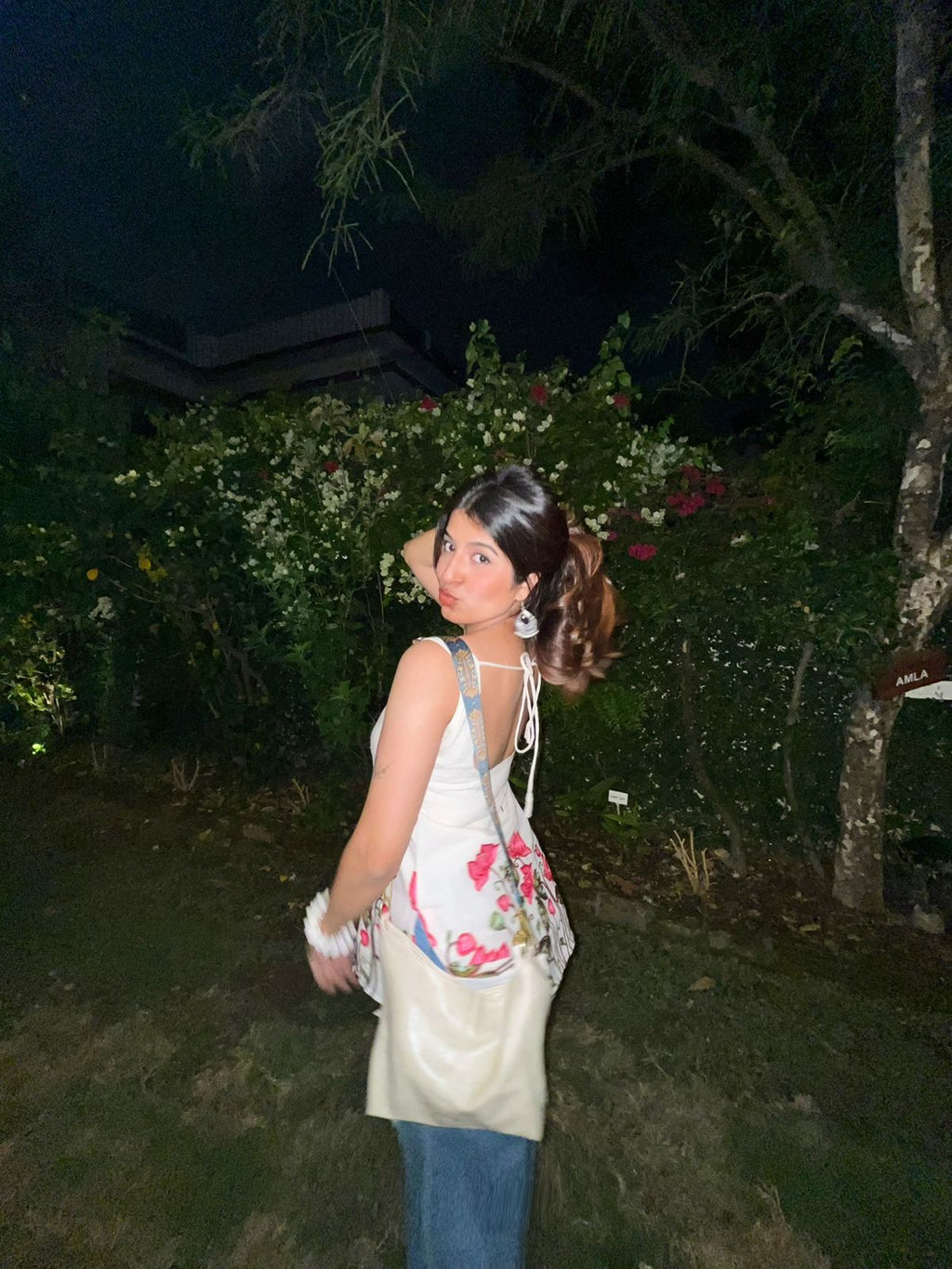 Chandni